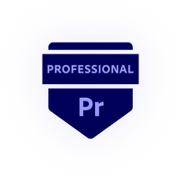 Adobe Premiere Pro Private Training Class Sessions